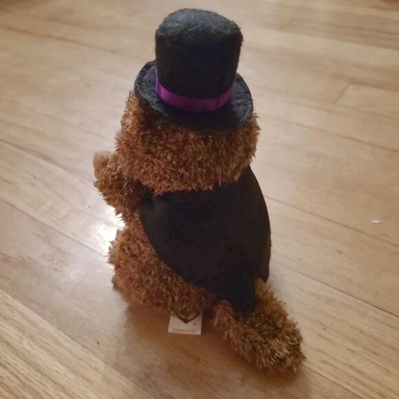 Punxsutawney Phil 2006 TY Beanie Baby Vintage Plush Stuffed Animal Groundhog Day - Picture 2 of 4